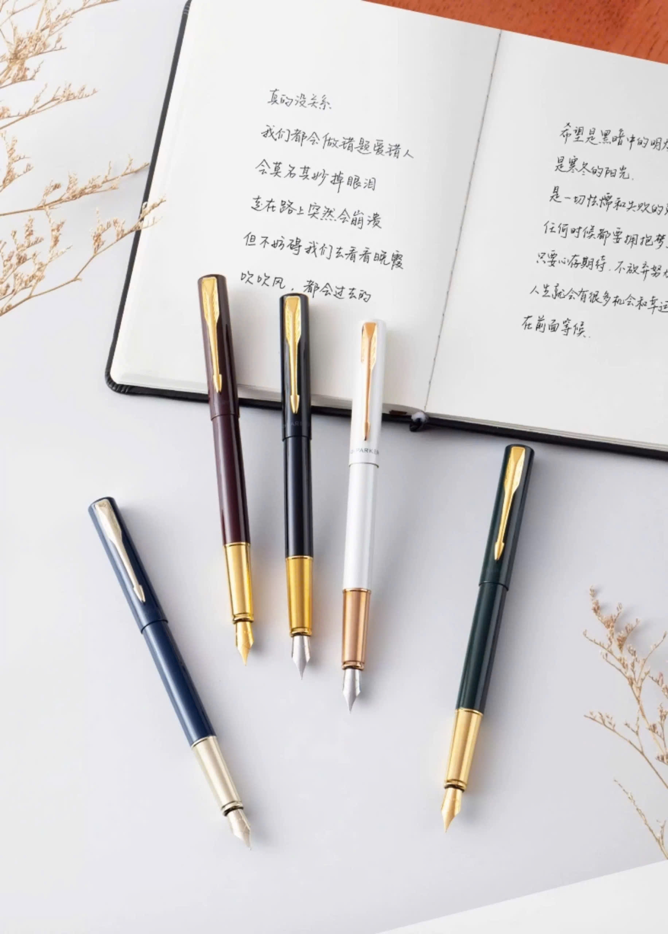 Bút máy Parker Vector XL PRM BLU CHAMP GT FP