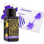 Lọ Mực Diamine Violet 30ml