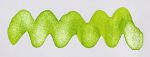 Lọ Mực Diamine Shimmer Neon Lime 50ml